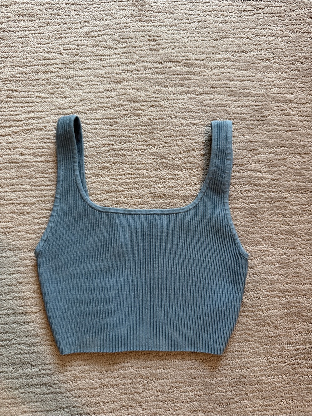 Aritzia Babaton Sculpt Knit Cropped Tank